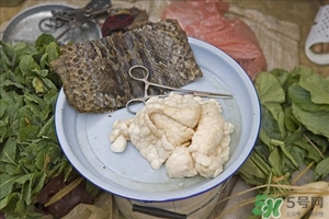 吃蛇肉有什么好處?蛇肉的營(yíng)養(yǎng)價(jià)值及功效 吃蛇肉有什么好處?蛇肉的營(yíng)養(yǎng)價(jià)值及功效
