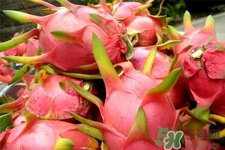 睡前吃火龍果好嗎？晚上吃火龍果會(huì)胖嗎？