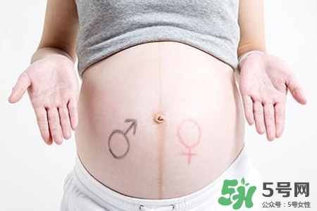 孕婦能吃瓜子嗎？孕婦吃瓜子對身體好嗎？