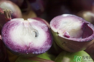 牛奶果怎么吃？牛奶果的功效與作用