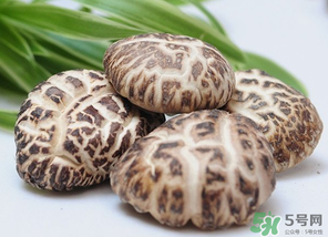 吃香菇有什么好處？吃香菇有什么壞處？