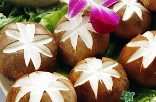 吃香菇有什么好處？吃香菇有什么壞處？