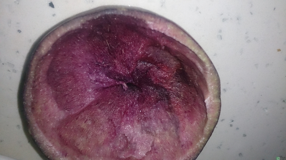 牛奶果怎么吃？牛奶果的功效與作用