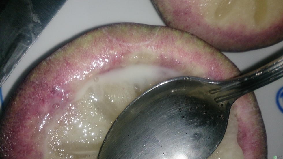 牛奶果怎么吃？牛奶果的功效與作用