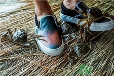 vans與acu合作款鞋子在哪可以買？vans與acu合作款鞋子上市發(fā)售時間