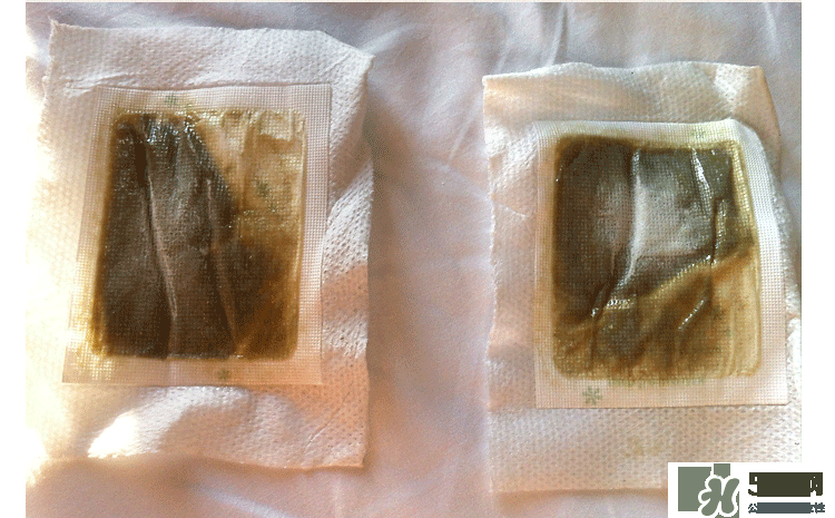 樹之惠足貼真假 樹之惠足貼真假鑒別 樹之惠足貼真假 樹之惠足貼真假鑒別