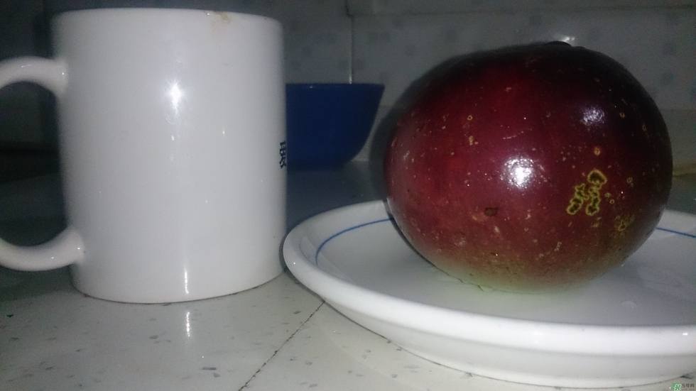 牛奶果怎么吃？牛奶果的功效與作用