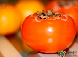 鴨肉和柿子能一起吃嗎？吃完鴨肉可以吃柿子嗎？