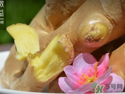 姜湯用老姜還是嫩姜？煮姜湯可以用干生姜嗎？