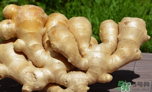 姜湯用老姜還是嫩姜？煮姜湯可以用干生姜嗎？