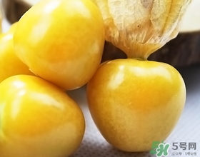 燈籠果不能和什么一起吃？燈籠果什么人不能吃？