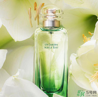 愛馬仕香水怎么看真假？愛馬仕香水真假鑒別圖