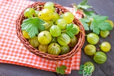 燈籠果一天吃幾個最好？燈籠果什么時候吃最好？