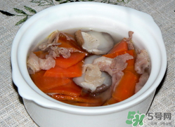 雞肉能和胡蘿卜一起吃嗎？雞肉和蘿卜可以一起吃嗎？