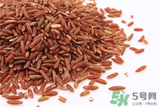 紅米的營(yíng)養(yǎng)價(jià)值 紅米的功效與作用 紅米的營(yíng)養(yǎng)價(jià)值 紅米的功效與作用