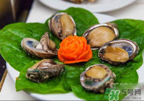 鮑魚是熱性還是涼性？鮑魚是寒性食物嗎？