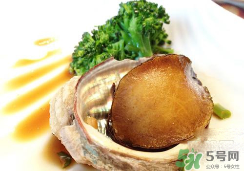 鮑魚是熱性還是涼性？鮑魚是寒性食物嗎？