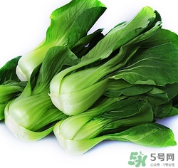 油菜需要焯水嗎?油菜焯水多久 油菜需要焯水嗎?油菜焯水多久