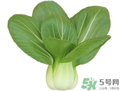 油菜需要焯水嗎?油菜焯水多久 油菜需要焯水嗎?油菜焯水多久