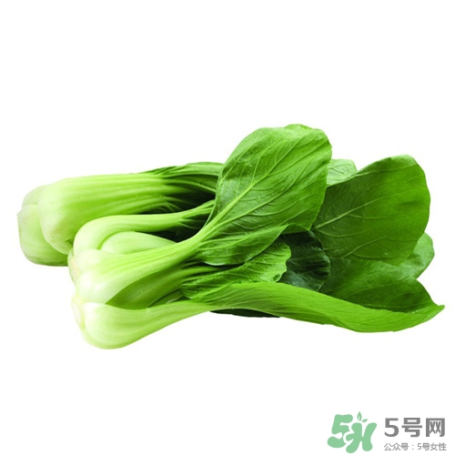 油菜需要焯水嗎?油菜焯水多久 油菜需要焯水嗎?油菜焯水多久
