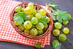 燈籠果會上火嗎?燈籠果吃多了會怎么樣 燈籠果會上火嗎?燈籠果吃多了會怎么樣