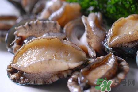 寶寶能吃鮑魚嗎？寶寶多大可以吃鮑魚？