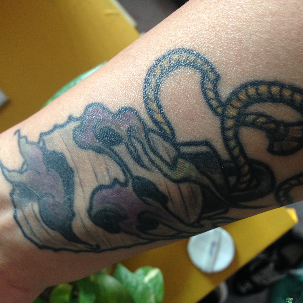 笛愛兒氣墊bb霜怎么樣?笛愛兒氣墊bb霜好用嗎? 笛愛兒氣墊bb霜怎么樣?笛愛兒氣墊bb霜好用嗎?