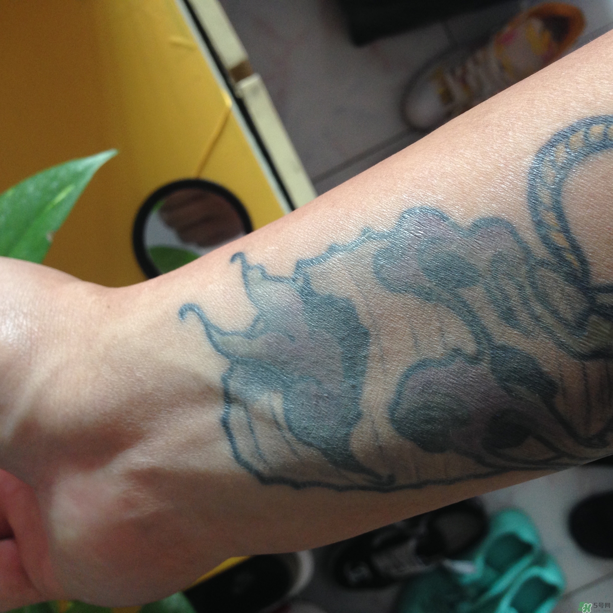 笛愛兒氣墊bb霜怎么樣?笛愛兒氣墊bb霜好用嗎? 笛愛兒氣墊bb霜怎么樣?笛愛兒氣墊bb霜好用嗎?