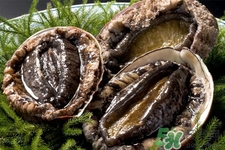 鮑魚什么部位不能吃？吃鮑魚的禁忌