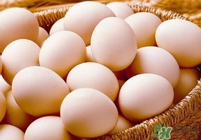 笨雞蛋和普通雞蛋營養(yǎng)價值一樣嗎？笨雞蛋和普通雞蛋的區(qū)別