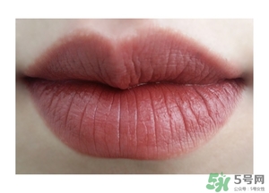 楓葉紅什么牌子好？楓葉紅口紅推薦