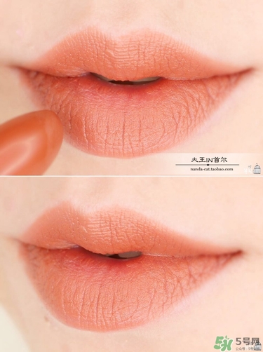 3ce南瓜色口紅色號 3ce南瓜色口紅試色圖 3ce南瓜色口紅色號 3ce南瓜色口紅試色圖