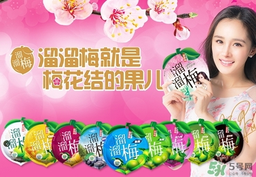 溜溜梅是梅花結(jié)的果嗎？溜溜梅的功效作用