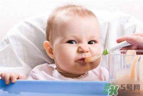 6個(gè)月的寶寶可以吃肉泥嗎？寶寶幾個(gè)月可以吃肉泥？