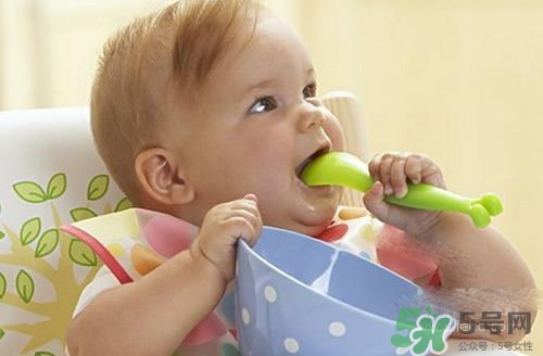 6個(gè)月的寶寶可以吃肉泥嗎？寶寶幾個(gè)月可以吃肉泥？