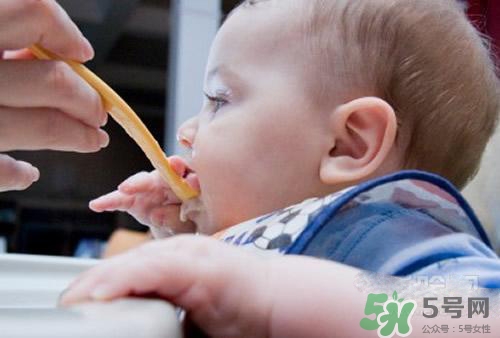 6個(gè)月的寶寶可以吃肉泥嗎？寶寶幾個(gè)月可以吃肉泥？