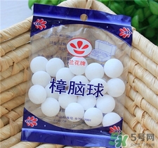 樟腦丸對(duì)蟑螂有用嗎?樟腦丸的功效與作用 樟腦丸對(duì)蟑螂有用嗎?樟腦丸的功效與作用