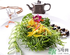 苦菊的營養(yǎng)價值 苦菊的功效與作用 苦菊的營養(yǎng)價值 苦菊的功效與作用