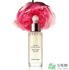 香緹卡是哪國的？香緹卡是哪里的牌子？