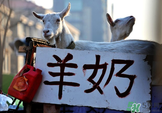 鮮羊奶怎么保存？鮮羊奶放冰箱能放多久？