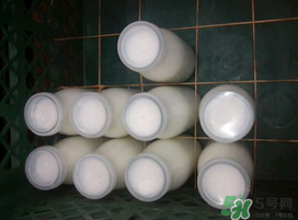 鮮羊奶可以直接喝嗎？鮮羊奶怎么喝最好？