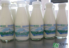 鮮羊奶可以直接喝嗎？鮮羊奶怎么喝最好？