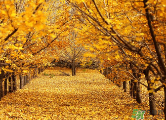 ?冬天空調(diào)開多少度合適？冬天空調(diào)制熱多少度合適？