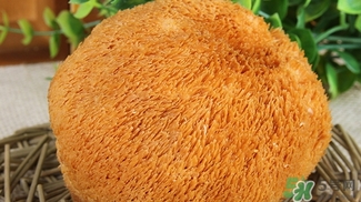 猴頭菇怎么吃？猴頭菇的功效與作用