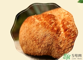 猴頭菇怎么吃？猴頭菇的功效與作用