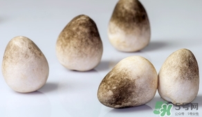 草菇的營(yíng)養(yǎng)價(jià)值 草菇的功效與作用 草菇的營(yíng)養(yǎng)價(jià)值 草菇的功效與作用