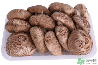 鮮香菇可以放冰箱嗎？鮮香菇可以冷凍嗎？