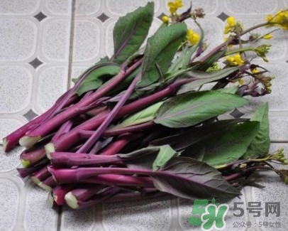 紅菜苔怎么處理?紅菜苔怎么做好吃 紅菜苔怎么處理?紅菜苔怎么做好吃