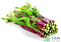紅菜苔怎么處理?紅菜苔怎么做好吃 紅菜苔怎么處理?紅菜苔怎么做好吃