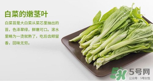 白菜苔的花可以吃嗎?白菜苔的花有什么作用 白菜苔的花可以吃嗎?白菜苔的花有什么作用